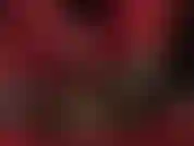 Feticista dei piedi, footjob: il tuo cazzo da schiavo ricoperto di nylon viene munto dai morbidi guanti rossi e dai piedi velati della tua dea.