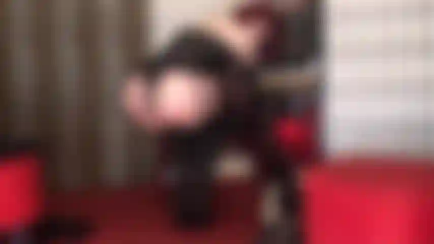 Seduta sul viso con questo completo sexy fatto di calze, giarrettiere, corsetto di pelle, stivali alti e lunghi guanti di pelle... Immagina questo fantastico culo nudo abbassato sul tuo viso mentre la padrona ti allarga le guance.