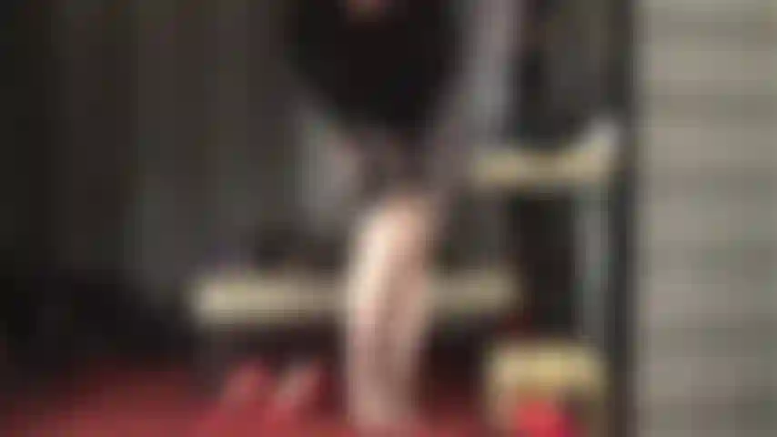 La mistress ti ha nel momento di massima debolezza quando ti stuzzica lentamente con le sue gambe e i piedi in collant, negandoti l'orgasmo.