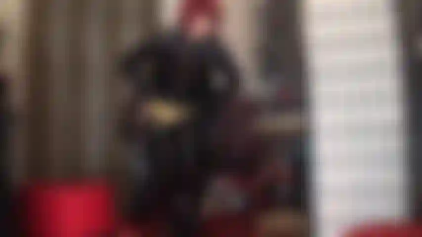 Così splendente! Mutandine dorate metallizzate sopra un reggicalze a 12 cinturini e calze autoreggenti che spuntano da lunghi stivali di vernice. Il tuo cazzo da schiavo può reggere la provocazione?