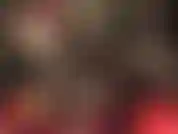 Inchinati alla tua dea. Adora e paga!