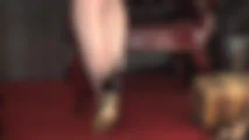 La padrona pretende l'adorazione delle sue seducenti cuciture nere e delle sue scarpe con tacco a spillo, mentre il suo frustino da equitazione fa da apripista.