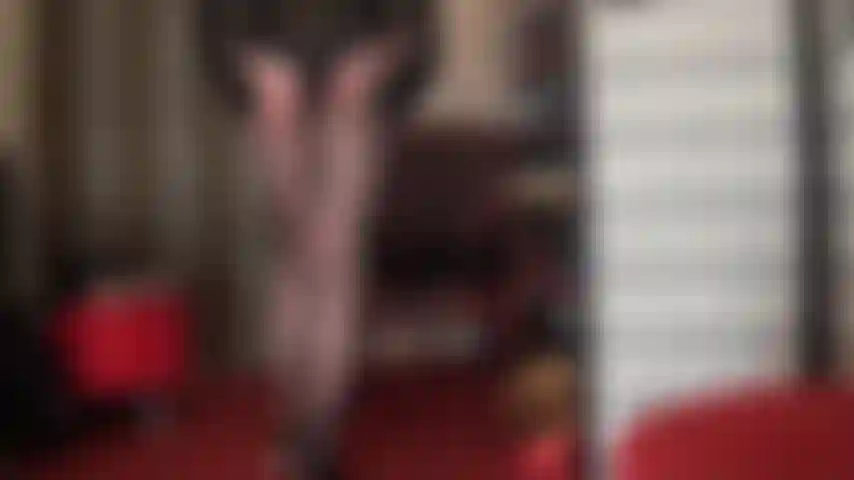 Graziosi collant con motivo a zig zag. Adoro le curve affascinanti della mia padrona in questo speciale paio di collant.