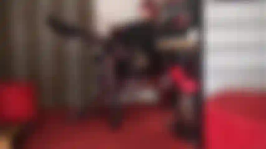 Seduzione con calze e giarrettiere: c'è qualcosa nelle calze con la parte superiore in pizzo e nelle giarrettiere sopra i collant che fa indurire e pulsare il cazzo del tuo schiavo...