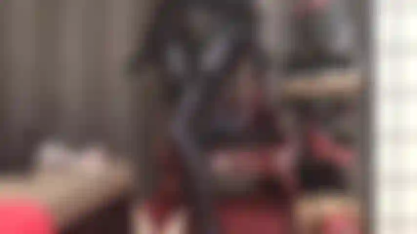 Lentamente, molto lentamente la mia padrona stuzzicherà il tuo cazzo con il suo culo lucido, le sue gambe e i suoi piedi in collant grigi in spandex leohex e calze a giarrettiera a strati.