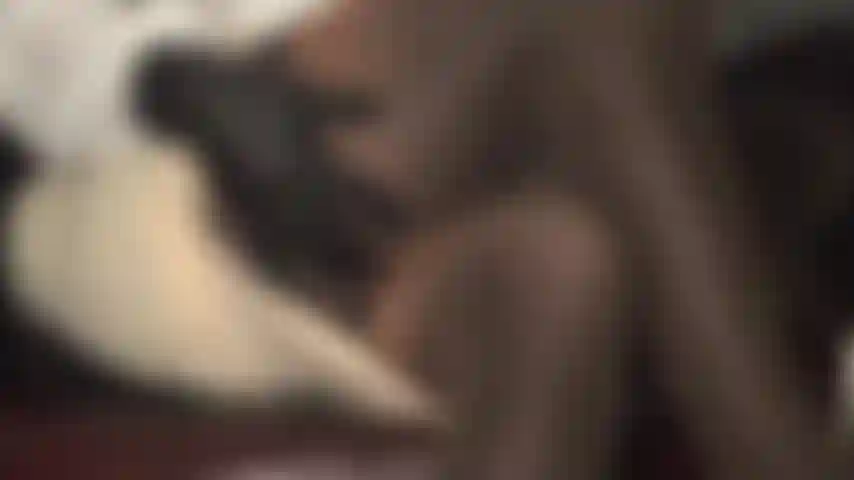 Una splendida esposizione di gambe in calze marroni vintage e strati di collant: reggicalze che tirano questi nylon con cuciture setose, la padrona si fa scorrere i guanti di pelle lungo le cosce, lasciando penzolare in modo seducente le sue scarpe lucide dalle dita dei piedi coperte dalle calze.