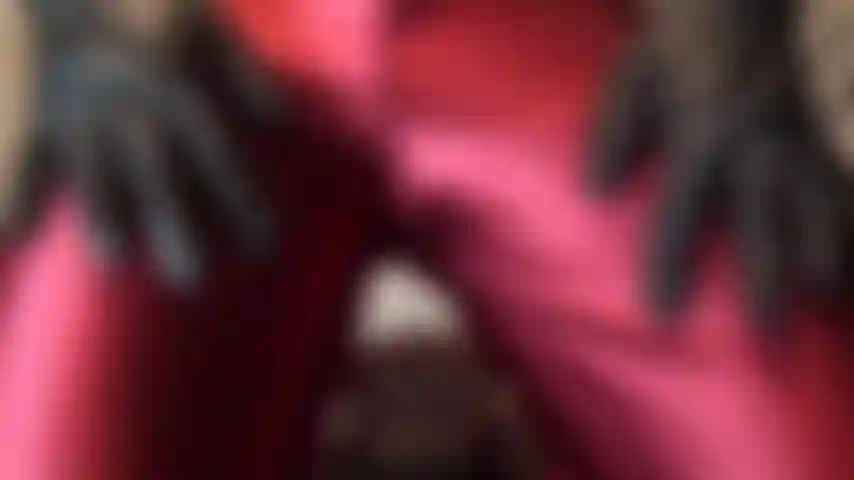 La signora vivian, con i suoi pantaloni di raso rosso lucido.