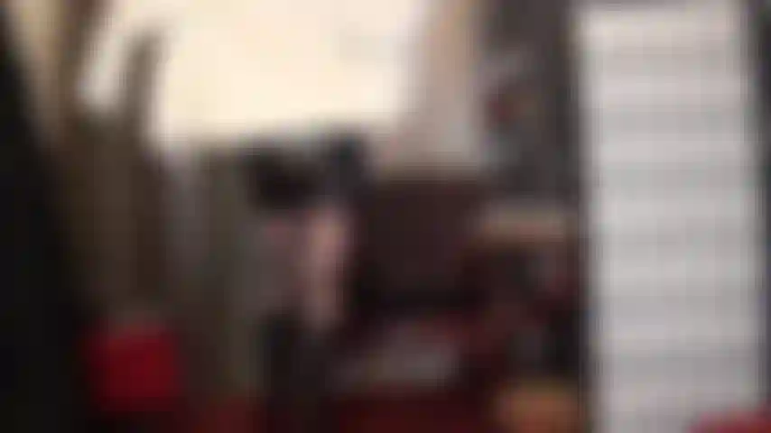 L'amore della signora vivian per le morbide pellicce...