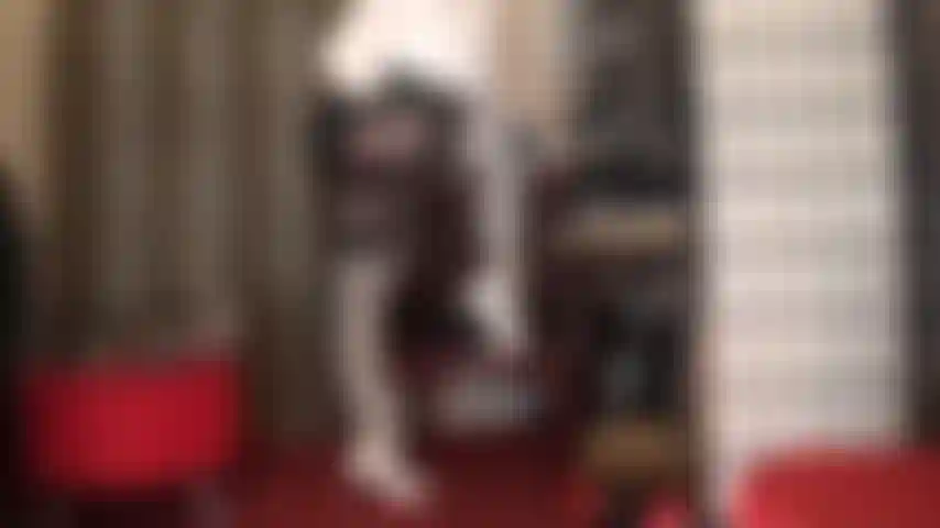 Calze bianche lucide e giarrettiere indossate su collant in spandex marrone metallizzato: che outfit incredibilmente grazioso da adorare... Tacchi bianchi, camicetta e guanti in pelle nera che esplorano lentamente le meravigliose curve della padrona.