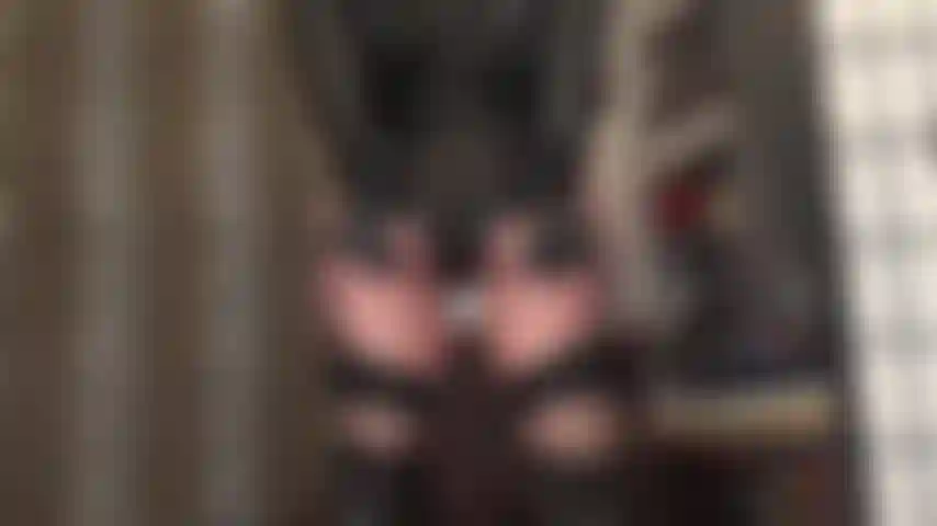 Adorazione del culo e una sega con guanti in similpelle, in pantaloncini di lycra a vita alta abbinati a calze, giarrettiere e stivali alti in pelle. Un outfit con cui non puoi assolutamente resistere a svuotarti le palle. Guardalo più e più volte finché non sono vuote.