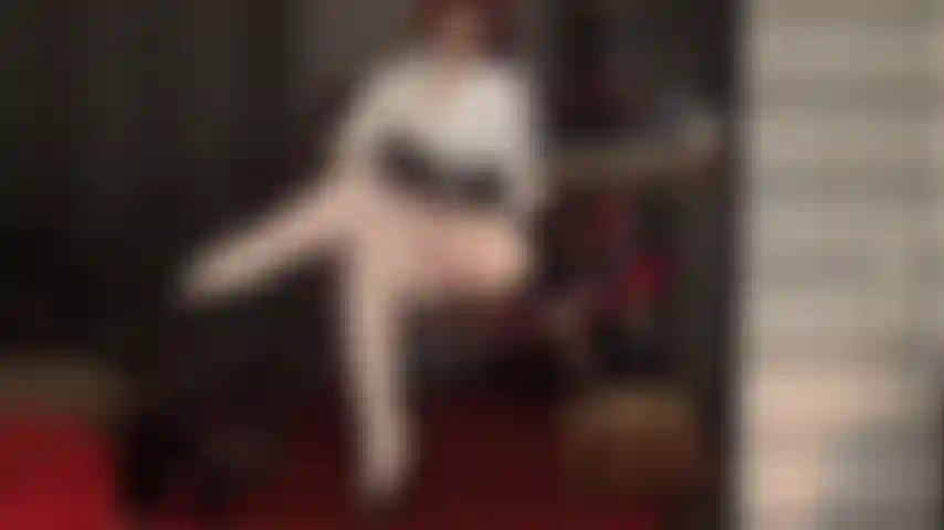 La tua dea in nylon ti munge il cazzo sulle gambe incrociate, indossando collant bianchi extra lucidi.