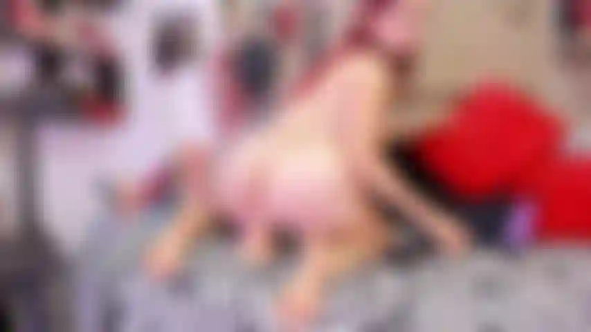 Adoro il sesso anale.