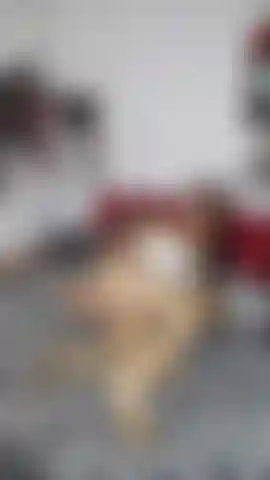 Eccitata anale con i giocattoli.