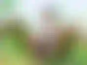 Gioco con il giocattolo all'aperto per venire. Sentimi e controlla il mio giocattolo. Video all'aperto di me che vengo.