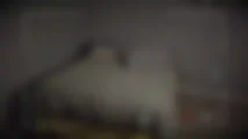Qualcuno mi ha spiato! Ho notato che la mia telecamera di sicurezza ha registrato alcune riprese di me nella mia camera da letto mentre mi rilassavo e mi masturbavo dopo una lunga giornata. Ora puoi essere una mosca sul muro nella mia camera da letto!