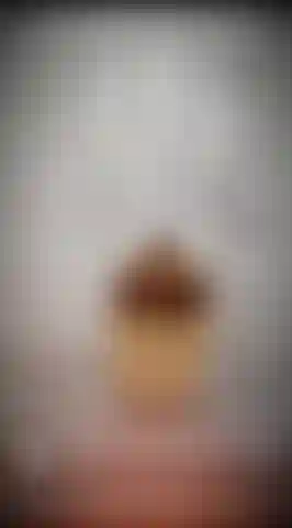 Door_knock_nicolette(1).