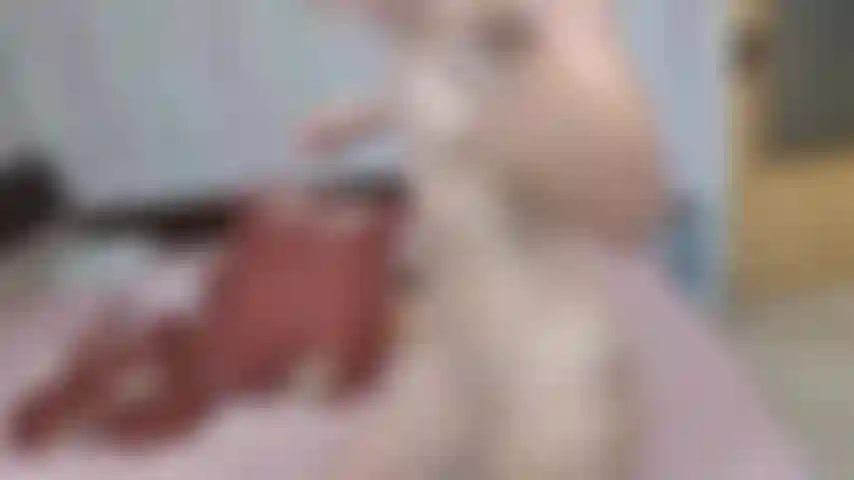 Mi masturbo mentre indosso un grembiule di plastica.