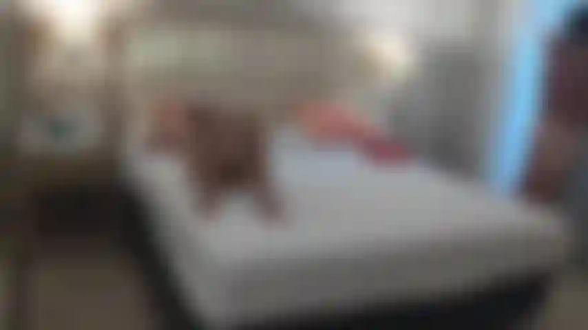 69, pussy fuck in different positions, orgasm, cum on ass