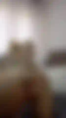 mentre faccio anal con il mio dildo