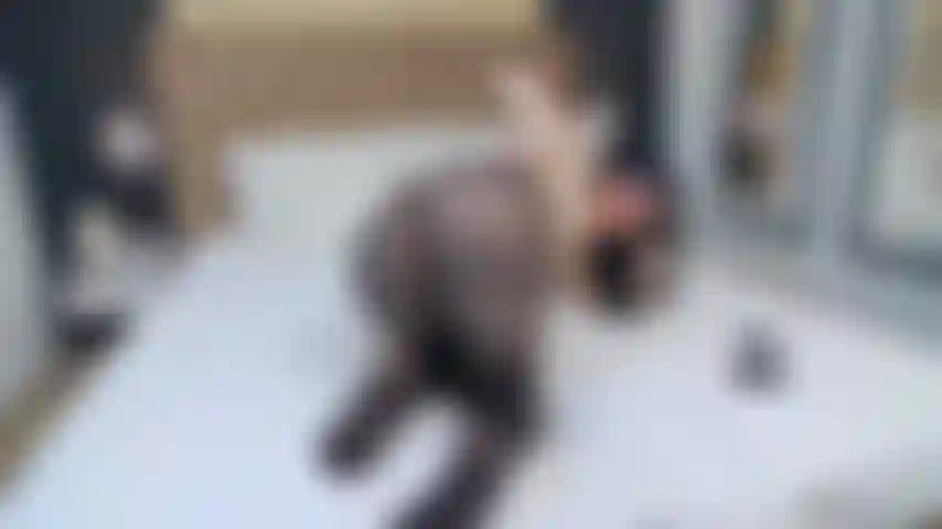 Mi sditalina il culo in collant.