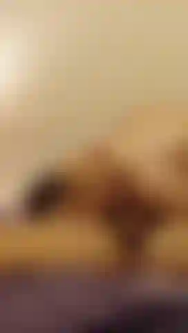Riding cock while he fingers my little asshole.