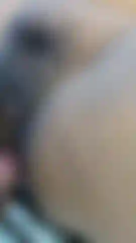 non stop ass fack