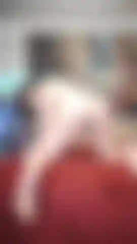 Fammi rimbalzare sopra, poi leccalo.