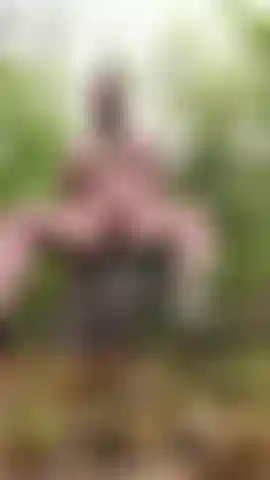 Lascia che ti accompagni proprio qui.