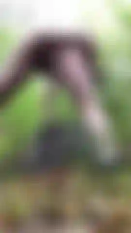 Dildo anale nel bosco.