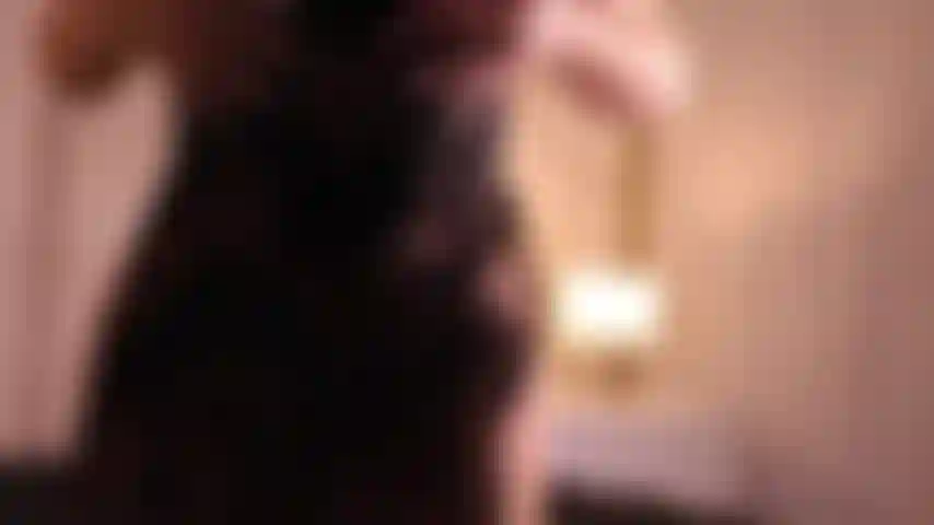 Sexy