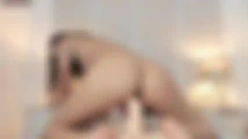 Guardami ora mentre cavalco un cazzo duro finché non vengo.