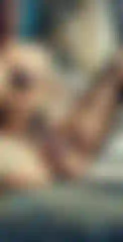 Gioco di figa arcobaleno.