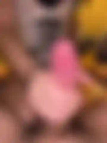 Watch me wank my partners cock