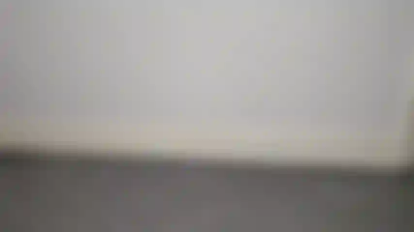 L'abitudine di adorare i vitelli è ordinata e diretta da un amante dei miei vitelli forti!