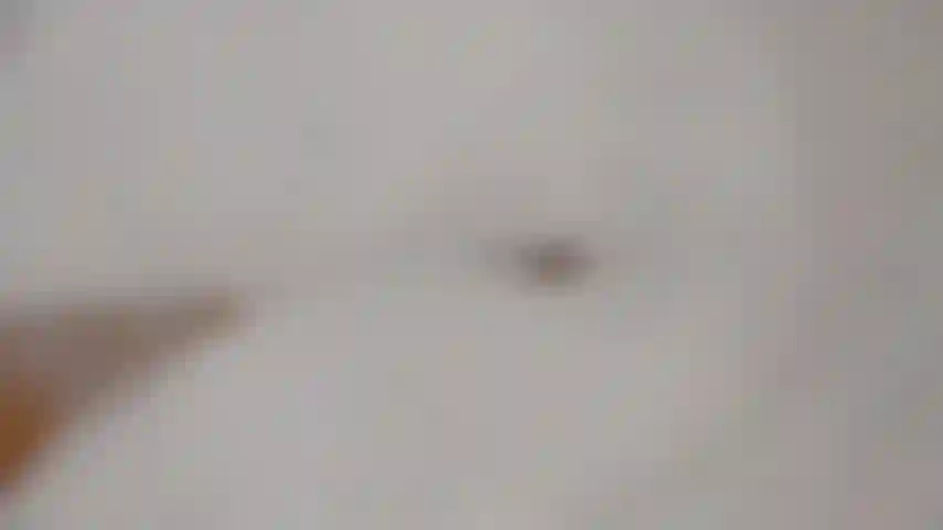 Piedi/gambe in un bagno caldo.