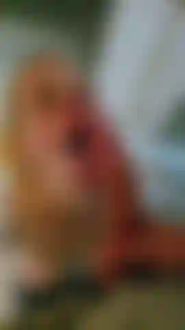 Torta in gola in cucina - dopo che ho svuotato bigdicknick 3 volte in poche ore, non ha proprio resistito a ficcarmi il cazzo in gola mentre eravamo in cucina. Gli ho succhiato il cazzo così bene che non ha potuto fare a meno di darmi una torta in gola sparando il suo sborro in fondo alla mia gola. Sorprendentemente, gli erano rimasti ancora uno o due schizzi per imbrattarmi la faccia quando ha tirato fuori il cazzo dal profondo della mia gola.