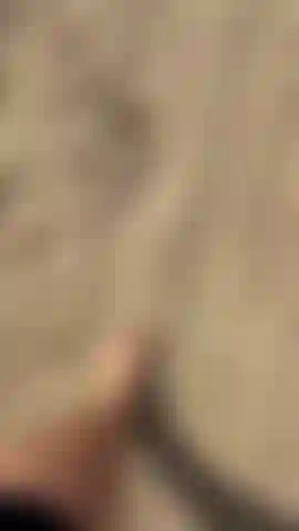 Cammina scalza con me dalla spiaggia sabbiosa fino all'oceano….