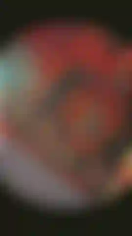 Cheetah print bootycut panties