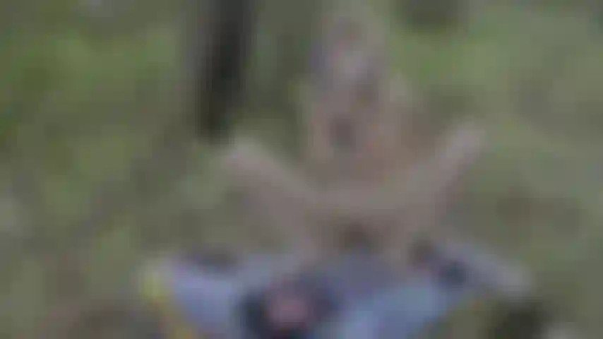 Ragazza gotica orgasmi rumorosi nella foresta con giochi anali.