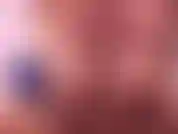 Stuzzicano le tette.