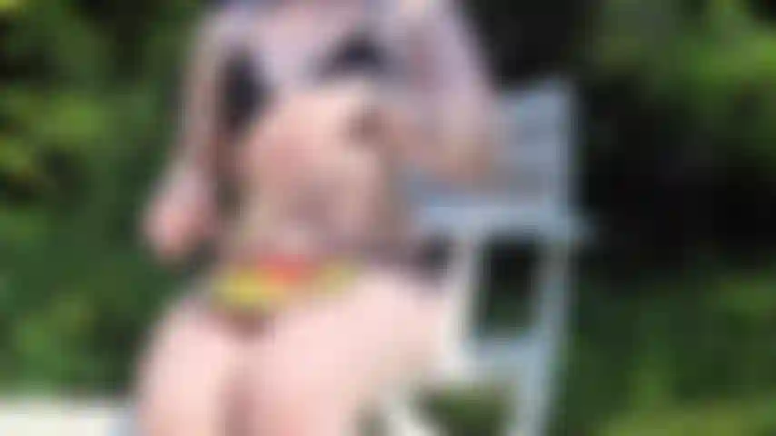 Summer is in full swing! Watch me devour this juicy watermelon while suntanning in my bikini!