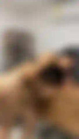 Faccio un pompino sul desktop del mio capo mentre lui non c'è.