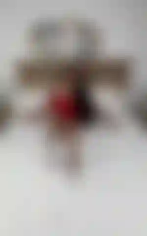 Comincio ad avere i brividi su di me pensando alla nostra notte insieme.