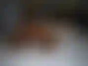Ero sdraiata a letto in collant mentre ero su skype con il mio ragazzo. Mi stavo mettendo in mostra per lui con la mia vibrazione ma non sapevo che mi stavi spiando mentre scendevamo... Pervertito!!