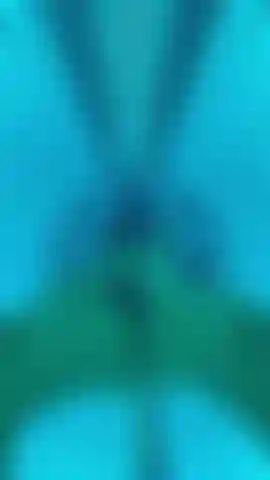 I lettini abbronzanti sono di moda!