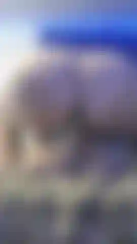 Unedited Backshot of me riding my new torso cock