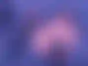Guarda il mio spettacolo privato.
