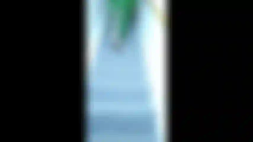 Lattice di edera velenosa, adorazione del piede della dea: scendendo le scale mi siedo per presentare la mia pelle, le gambe e i piedi pallidi e morbidi. Mi tolgo i tacchi a spillo, adoro i miei piedi nudi, mentre presento ciascun piede alla telecamera, le suole spiegazzate finiscono con il conto alla rovescia joi.