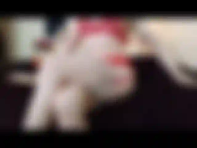 Pleasurestate che usa un dildo di vetro nero.