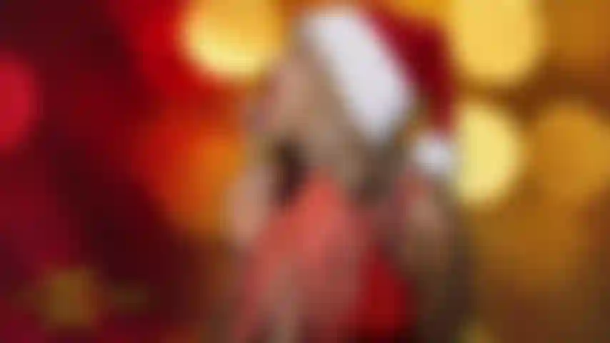 Con un enorme cazzo nero strap-on natalizio!!! Bbc.